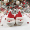 AMMI New Christmas Santa Claus Polyester Soft and Comfortable Unisex Winter Fashion Warm Indoor Slipper